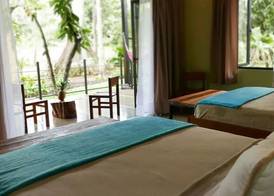 Villas Piña - Adults only 5