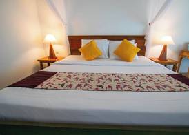 Alam Puri Art Museum and Villas 5