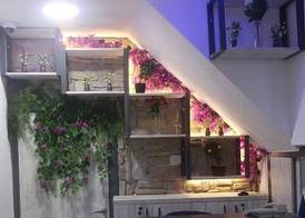 Tiana Butik Otel 4