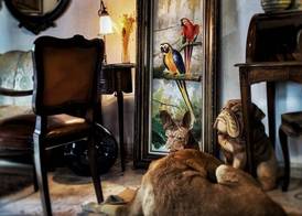 Tuvana Hotel 2
