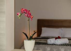 Apartmani Belvedere 4