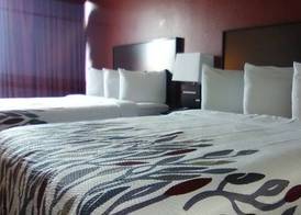 Lubbock Regency Inn 2