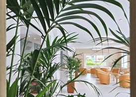 Hotel Giardino La Playa - Adults Only 4