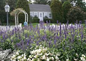Wequassett Resort and Golf Club 2