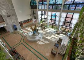 Cozumel Hotel & Resort 3