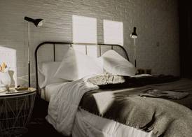 Room Ventura 3
