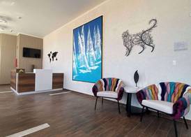 Aruba Boutique & Art Hotel - Adults Only 3