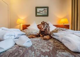 Grata by Centrum Hotels 4