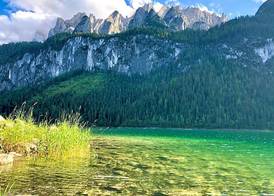 Vitalhotel Gosau 4