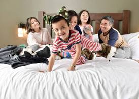 Great Wolf Lodge Anaheim, CA 3