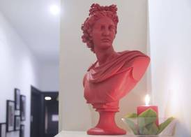 Ai Senatori 2