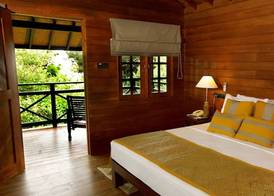 Cinnamon Wild Yala 4