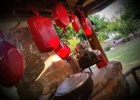 Mursel Pansiyon Garden Hotel 5