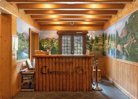 Hotel Chamois d'Or 2