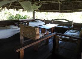 Mida Creek Eco Camp 4