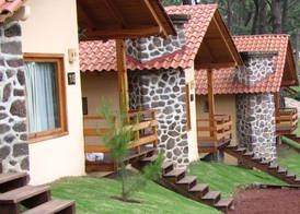 Bosque Escondido 2