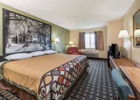 Super 8 by Wyndham Greenville 5