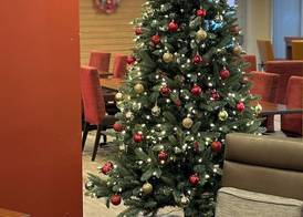 TownePlace Suites By Marriott Lima 2