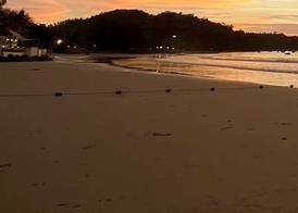 ChillHub Hostel Phuket 3