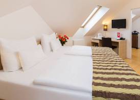 Hotel Páv 4