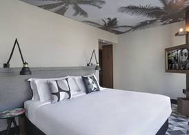 Yoo2 Rio de Janeiro, Tapestry Collection by Hilton 3