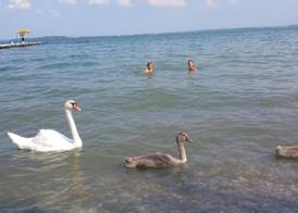 Hotel Du Lac 4