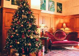 James Bay Inn Hotel, Suites & Cottage 5