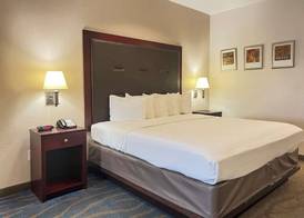 Quality Inn & Suites Houston Northwest - Cypress 3