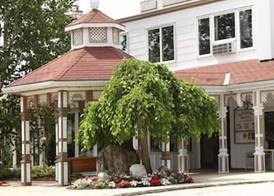 Fern Resort 4