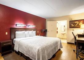 Red Roof Inn PLUS+ Washington DC - Alexandria 5