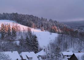 Bio-Hotel Zum Forsthaus 5