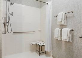 Holiday Inn Express & Suites EDINBURG-MCALLEN AREA by IHG 3