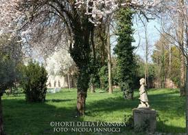 Horti Della Fasanara 4
