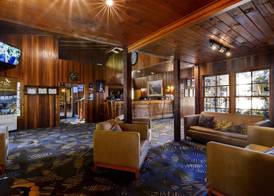 O'Reilly's Rainforest Retreat 2