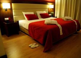 Palace Hotel & Spa Monte Rio 4