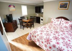 Falcon Inn 5