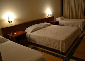 Akropoli Hotel 5