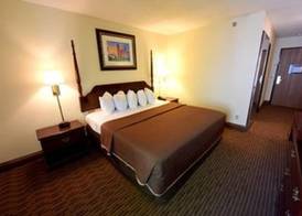 Starlite Budget Inn 5
