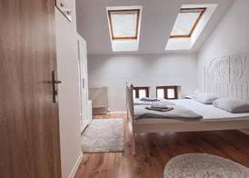 Blue Lotus Hotel & Hostel 3