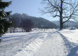 Das Allgäu 2