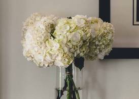 High Cross Randwick by Sydney Lodges 4