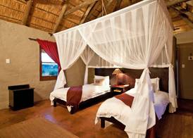 Hlosi Game Lodge - Amakhala Game Reserve 5