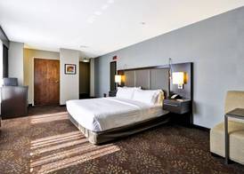 Holiday Inn Express ROMULUS / DETROIT AIRPORT by IHG 3