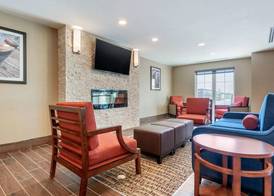 Comfort Inn & Suites 3