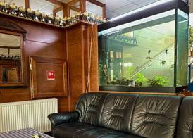 Hotel Avion 4