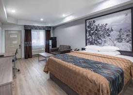 Super 8 by Wyndham Humble Houston Fallcreek 5