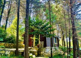 Agva Orman Evleri̇ Forest Lodge 4
