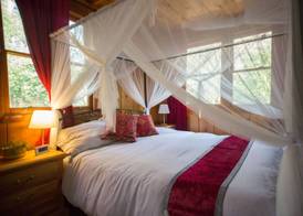 Quiet Mind Lodge, Spa & Retreat Sequoias 5