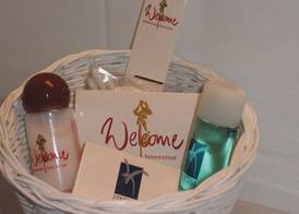Harz hotel Iris 3