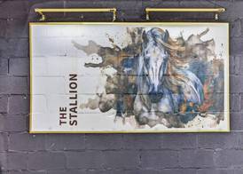 The Stallion 2